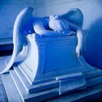 AequoreaVic's Avatar